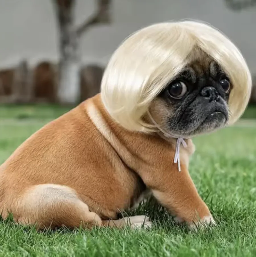 The Marilyn — wig for dogs and cats