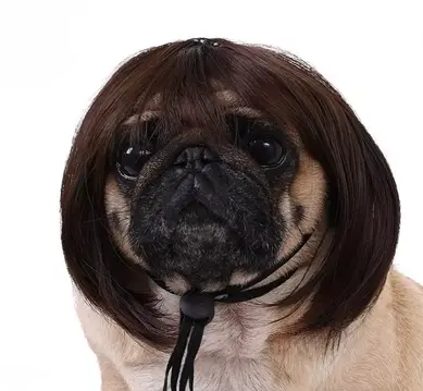 The Karen — wig for dogs and cats