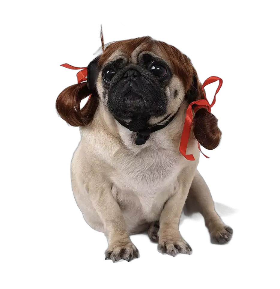 The Annabelle — wig for dogs and cats